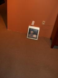 Picture 231